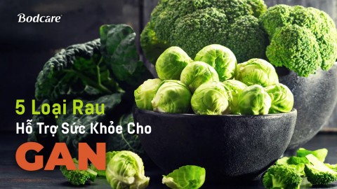 5 Loại Rau Hỗ Trợ Sức Khỏe Cho Gan - Giải Độc, Ngừa Bệnh Tự Nhiên
