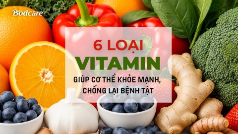 6 Loại Vitamin Giúp Cơ Thể Khỏe Mạnh, Chống Lại Bệnh Tật