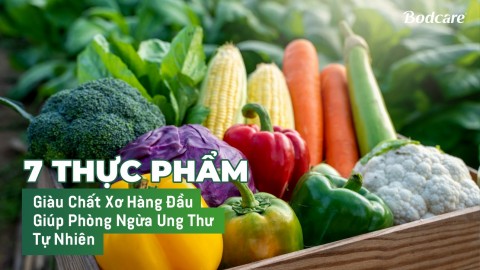 7 Thực Phẩm Giàu Chất Xơ Hàng Đầu Giúp Phòng Ngừa Ung Thư Tự Nhiên