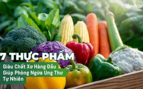 7 Thực Phẩm Giàu Chất Xơ Hàng Đầu Giúp Phòng Ngừa Ung Thư Tự Nhiên