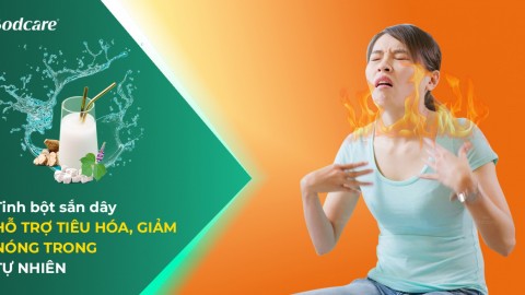 Tinh bột sắn dây – Hỗ trợ tiêu hóa, giảm nóng trong tự nhiên