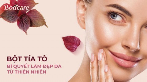 Bột tía tô - Thảo dược quý trong làm đẹp