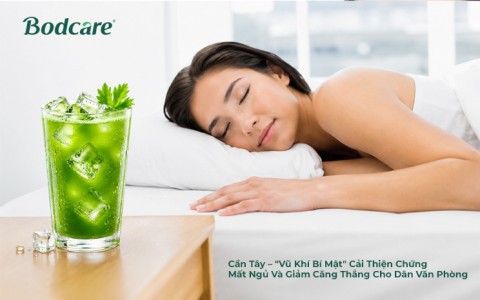 Cần Tây – "Vũ Khí Bí Mật" Cải Thiện Chứng Mất Ngủ Và Giảm Căng Thẳng Cho Dân Văn Phòng