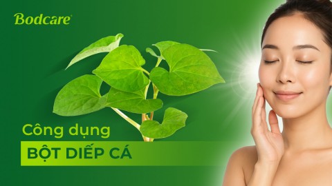 Công dụng của bột rau diếp cá