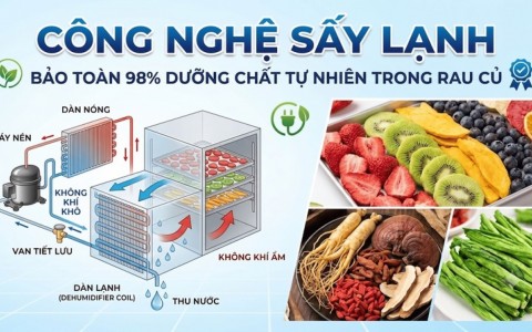 Công Nghệ Sấy Lạnh Là Gì? Bí Quyết Trong Bột Rau Củ Bodcare