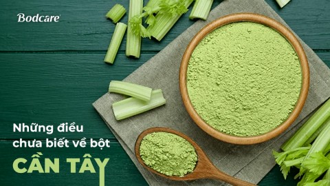 Những điều chưa biết về bột Cần tây