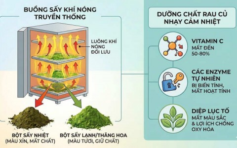 Công Nghệ Sấy Nhiệt Là Gì? Vì Sao Không Nên Dùng Cho Bột Rau Củ Dinh Dưỡng?