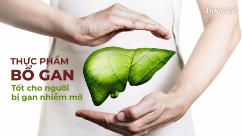 Thực Phẩm Bổ Gan - Giải Pháp Tốt Cho Người Bị Gan Nhiễm Mỡ