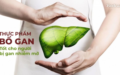 Thực Phẩm Bổ Gan - Giải Pháp Tốt Cho Người Bị Gan Nhiễm Mỡ