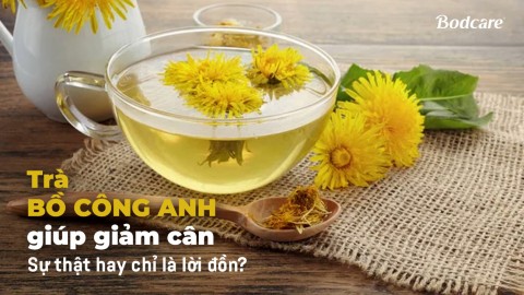 Trà bồ công anh giúp giảm cân: Sự thật hay chỉ là lời đồn?