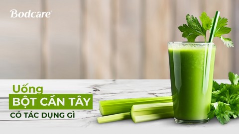 Uống nước bột cần tây có tác dụng gì?