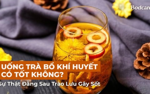 Uống Trà Bổ Khí Huyết Có Tốt Không? Sự Thật Đằng Sau Trào Lưu Gây Sốt