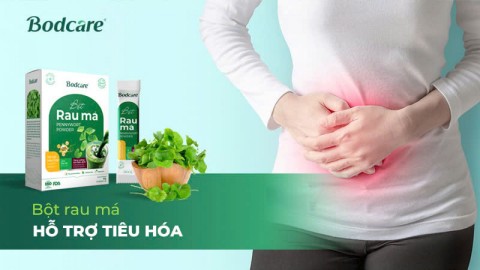 Bột Rau Má - Hỗ Trợ Tiêu Hóa Tự Nhiên, An Toàn Từ Thiên Nhiên
